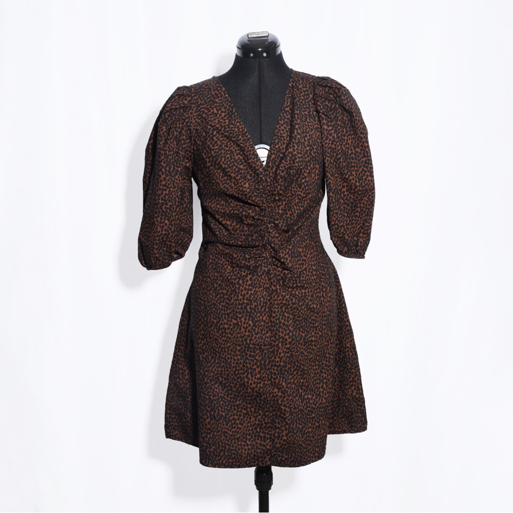 Balloon Sleeve V-neckline Ruched Dress